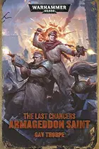 Book cover of Armageddon Saint