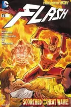 Book cover of The Flash #11