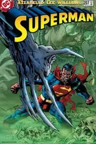 Book cover of Superman (1987-2006) #207