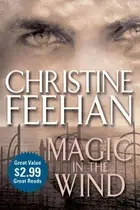Book cover of Magic in the Wind