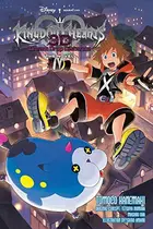 Book cover of Kingdom Hearts 3D