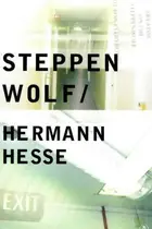 Book cover of Steppenwolf
