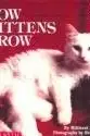 Book cover of Como Crecen Los Gatitos (Mariposa)