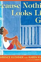 Book cover of Because nothing looks like God