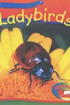 Book cover of Ladybirds