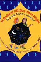 Book cover of It rained all day that night