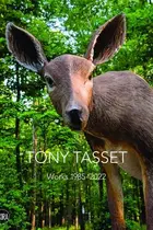 Book cover of Tony Tasset