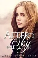 Book cover of After the Sky Fell Down