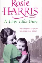 Book cover of A Love Like Ours