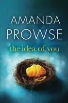 Book cover of The Idea of You
