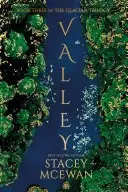 Book cover of Valley