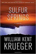 Book cover of Sulfur Springs
