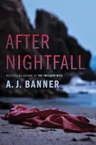 Book cover of After Nightfall
