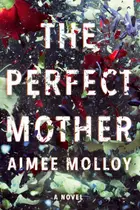 Book cover of The perfect mother