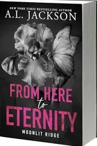 Book cover of From Here to Eternity