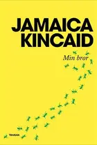 Book cover of Min bror