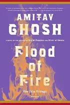 Book cover of Flood of Fire