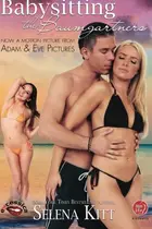 Book cover of Babysitting the Baumgartners