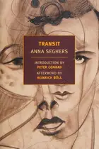 Book cover of Transit