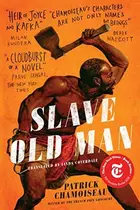 Book cover of The Old Slave