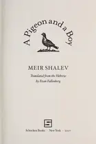 Book cover of A Pigeon and a Boy
