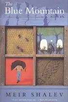 Book cover of Blue Mountain