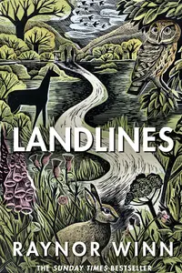 Book cover of Landlines
