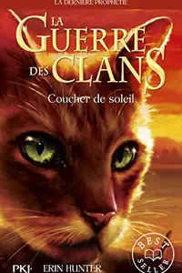 Book cover of Sunset