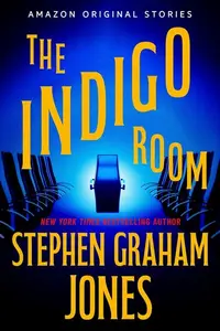Book cover of The Indigo Room
