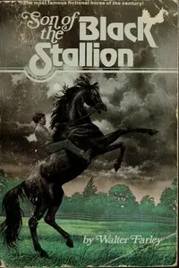 Book cover of Son of the Black Stallion