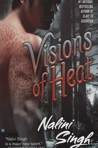 Book cover of Visions of Heat