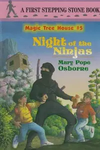 Book cover of Night of the Ninjas