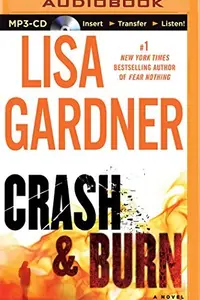Book cover of Crash and Burn