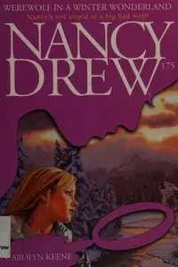 Book cover of Werewolf in a Winter Wonderland