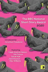 Book cover of The BBC National Short Story Award 2020