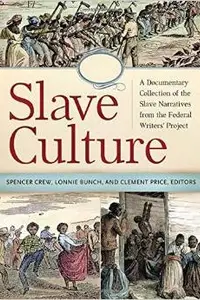 Book cover of Slave Culture