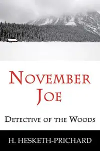 Book cover of November Joe, detective of the woods