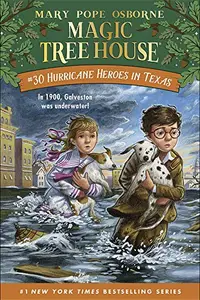 Book cover of Hurricane heroes in Texas