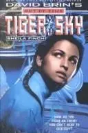 Book cover of Tiger in the Sky