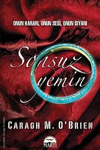 Book cover of Sonsuz Yemin