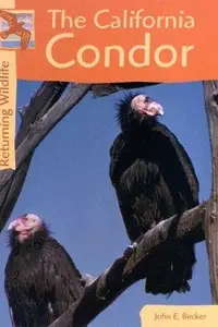 Book cover of California Condors