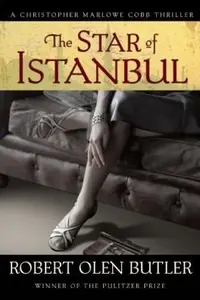 Book cover of The Star Of Istanbul