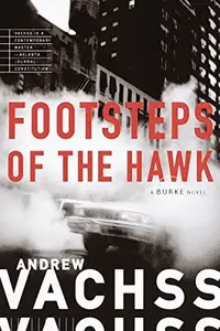 Book cover of Footsteps of the Hawk
