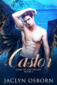 Book cover of Castor