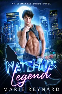 Book cover of MateHub: Legend