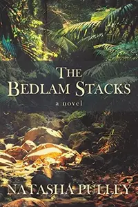 Book cover of The Bedlam Stacks