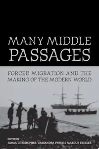 Book cover of Many middle passages