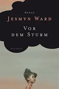 Book cover of Vor dem Sturm