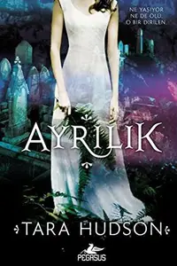 Book cover of Ayrilik