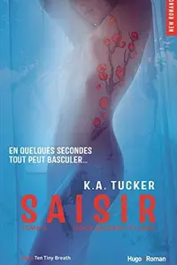 Book cover of Saisir - tome 3